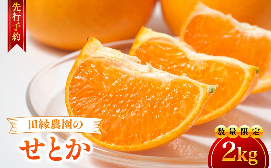 【先行予約】【数量限定】田縁農園のせとか2kg  ※離島への配送不可 （2027年3月5日より順次発送） IKTA027