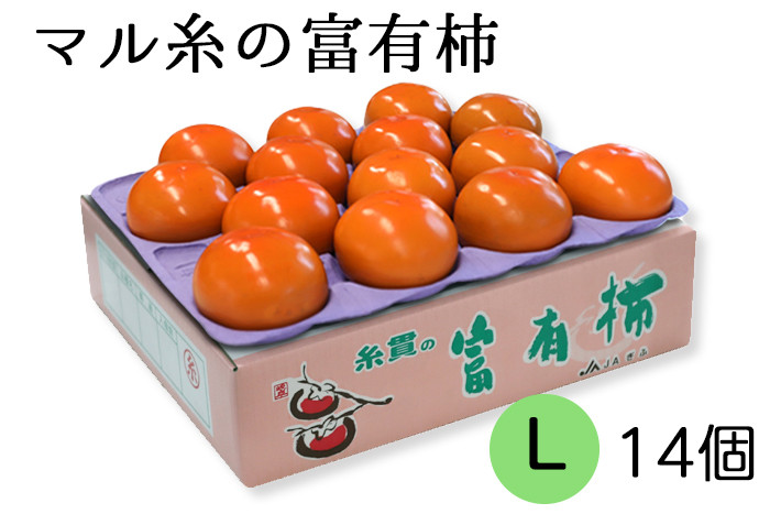 
            [先行予約／令和7年産]【柿の王様】マル糸の富有柿 Lサイズ (14個入) 令和7年11月下旬より発送予定 [mt187] 
          