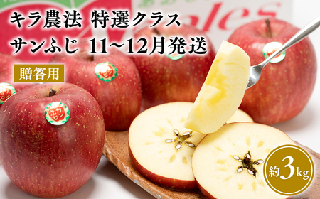 11～12月 贈答用 キラ農法 特選クラス 完熟りんご サンふじ約3kg 【青森りんご・平川市広船産・11月・12月】