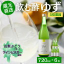 【ふるさと納税】お酢のイメージを変える!ドリンクビネガーゆず6本セット〈濃縮タイプ飲む酢/山梨産ビネガー使用〉【配送不可地域：離島】【1488898】