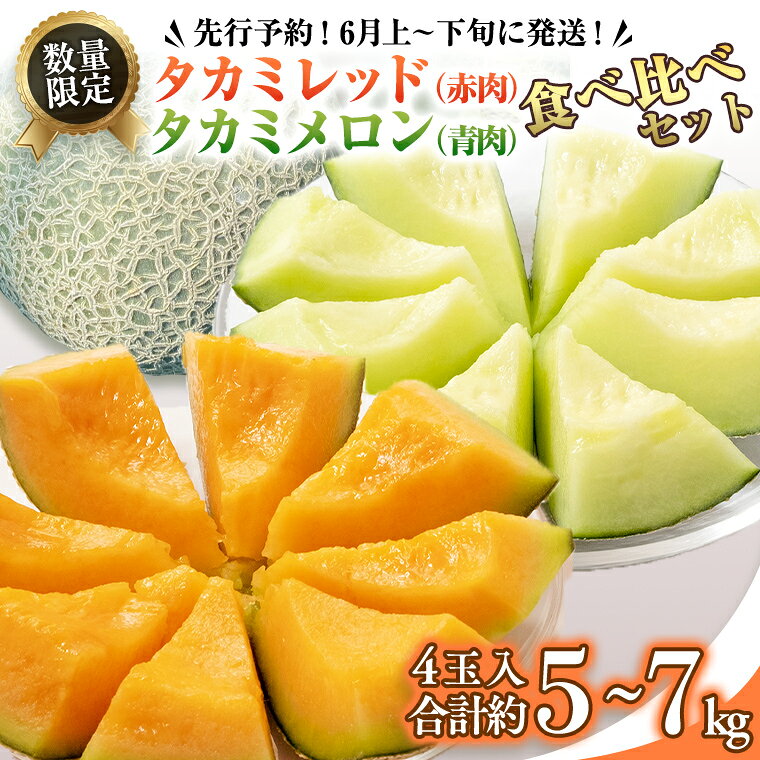 【ふるさと納税】タカミレッド（赤肉）・タカミメロン（青肉）食べ比べ 2色 セット 合計4玉入り（約5kg～7kg）【2027年6月上旬以降発送】 期間限定 産地直送 農家直送 果物 フルーツ メロン タカミ たかみ 貴味 レッド 甘い 4玉 2027 2027年発送 2027年先行受付 2027年