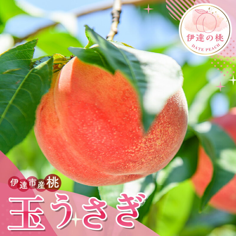 【ふるさと納税】2025年出荷分 先行予約数量が選べる 福島県産 玉うさぎ 3kg 5kg 2025年8月下旬〜2025年9月上旬発送 先行予約 予約 新品種 たまうさぎ 固め 伊達の桃 桃 もも モモ 果物 くだもの フルーツ F20C-834var