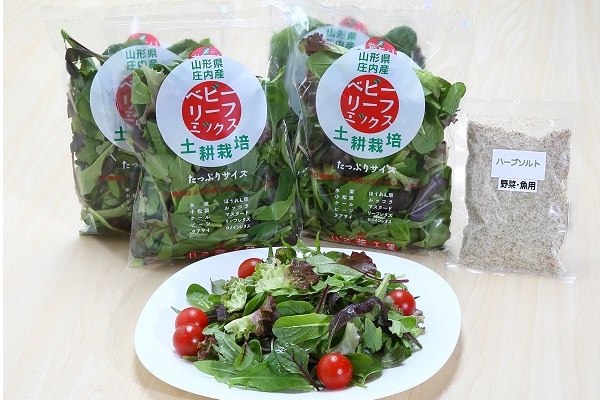 土耕栽培のベビーリーフミックス 10種(70g×4袋) と野菜用ハーブ塩セット
