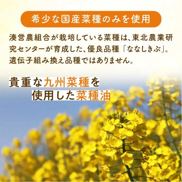 菜の花油 菜の花 サラダ油 3本 [ABAQ012] サラダ油