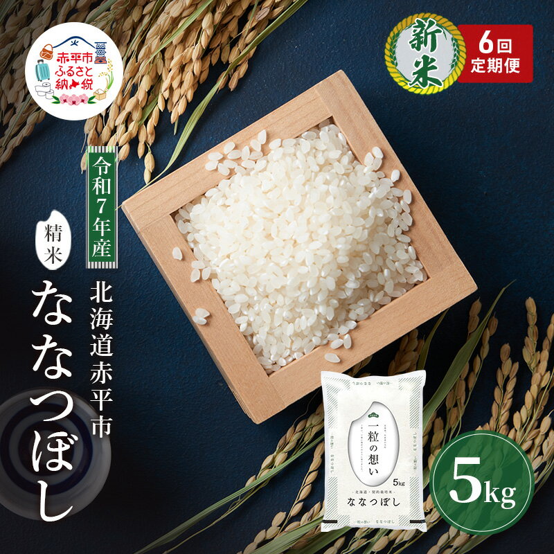 【ふるさと納税】定期便6回 連続 お届け 令和7年産 北海道 赤平産 ななつぼし 5kg 白米 精米 米 北海道 ごはん ご飯 ライス おにぎり 定期便 定期 お楽しみ 3回　お届け：2025年11月初旬より順次出荷