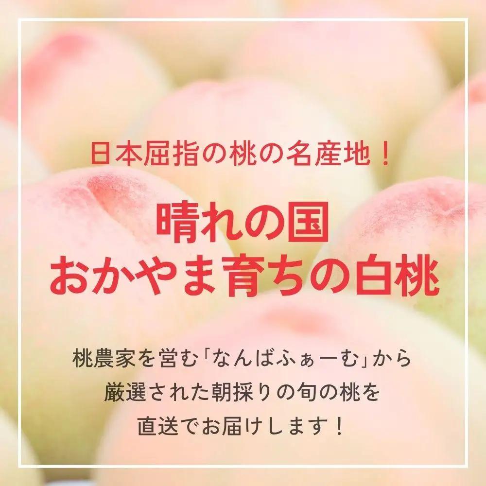 ＜数量限定＞［なんばふぁーむ］岡山県産 旬の桃 2.0kg（5～9玉）［ご家庭用］【2026年発送】