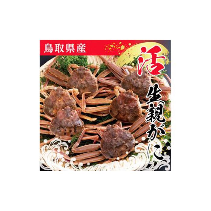 【ふるさと納税】鳥取県産 生親がに【中村商店】 | かに カニ 蟹 期間限定 送料無料