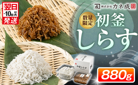 初釜しらすセット 880g(しらす干し300g×2パック 佃煮280g×1パック) 小分け