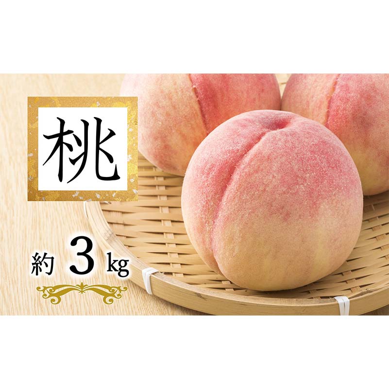 【ふるさと納税】 【令和8年産先行予約】 白桃「あかつき・まどか・川中島・おどろき」 約3kg (9玉以上 秀) 《令和8年8月上旬〜発送》 『南陽中央青果市場』 桃 もも 果物 フルーツ デザート 山形県 南陽市 [2585]