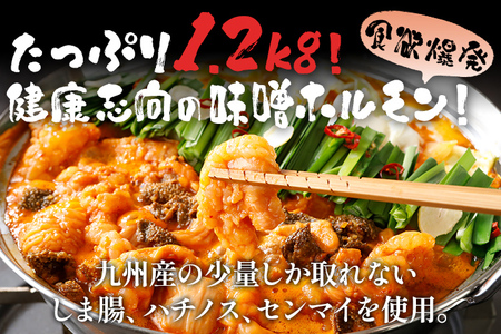 田川みそホルモン 1.2kg 400g×3パック 味噌だれ500ml×1本 しま腸 ハチノス センマイ 焼肉 コラーゲン 旨辛 コチュジャン タレ漬け 味付け 鉄板焼き 野菜炒め BBQ お取り寄せグ