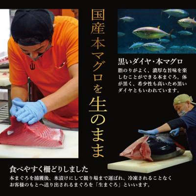 ふるさと納税 越前町 国産生本マグロ 大トロと赤身 2種セット 合計300g |  | 02