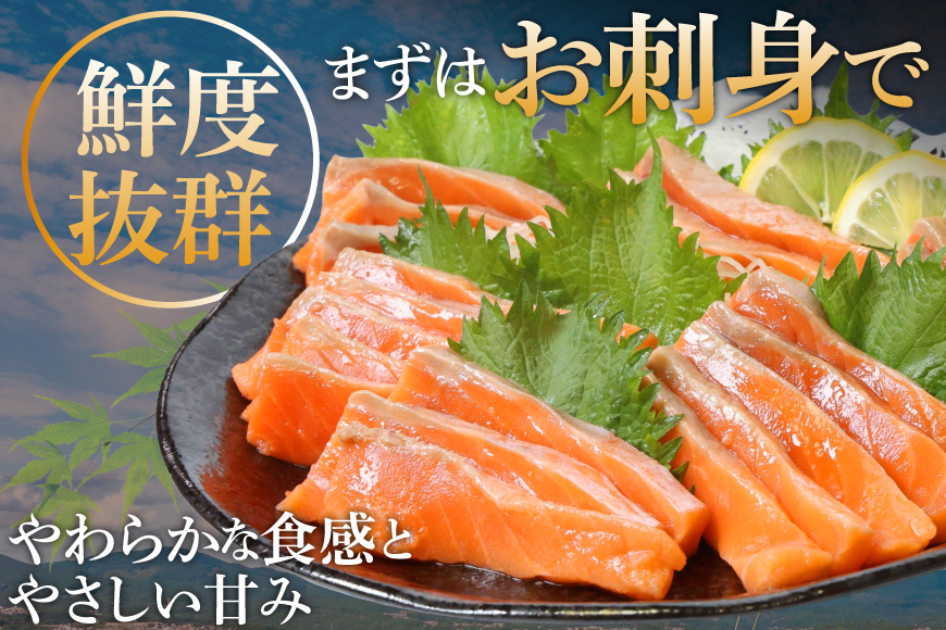 訳あり サーモン 切り落とし おさしみ用 125g×16p 計2kg 個包装 [足利本店 宮城県 気仙沼市 20565987] 魚介 魚 鮭 銀鮭 生食用 刺身 お刺し身 刺し身 海鮮 真空パック 冷