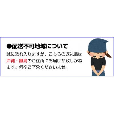 ふるさと納税 紀宝町 紀生(きりゅう) (コシヒカリ) 5kg【9月末から6月までの期間で順次発送】【rnm001C】 |  | 03