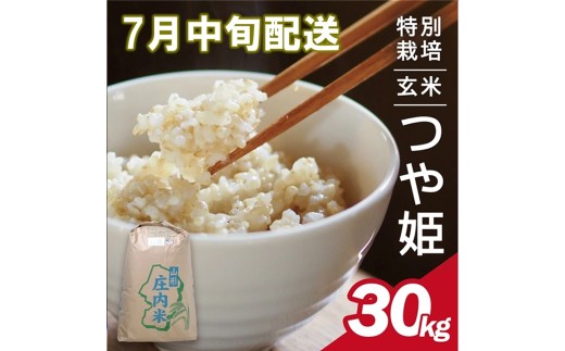 7月中旬配送／令和7年産【玄米】特別栽培米 つや姫　30kg×1袋〈太ももの会〉 FU SG0135