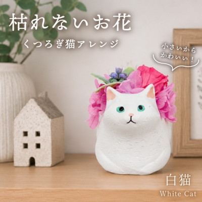 
                  プリザーブドフラワー くつろぎ猫 白猫 枯れないお花、猫好きの方へのプレゼントにもおすすめ!【1750209】
                