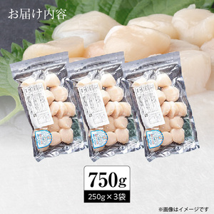 訳あり 北海道 噴火湾産 ホタテ 貝柱 250g × 3袋 内浦湾 噴火湾 新鮮 一粒ずつ 急速冷凍 とても甘い 旨み 生 刺身 バター焼き ほたてごはん フライ 海の味覚 海鮮 魚介 貝 海産物 お