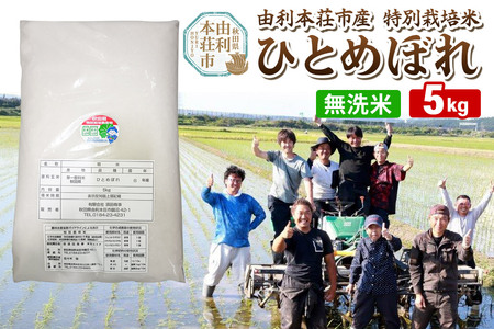 【無洗米】秋田県由利本荘市産 特別栽培米 ひとめぼれ 5kg（5kg×1袋）令和6年産