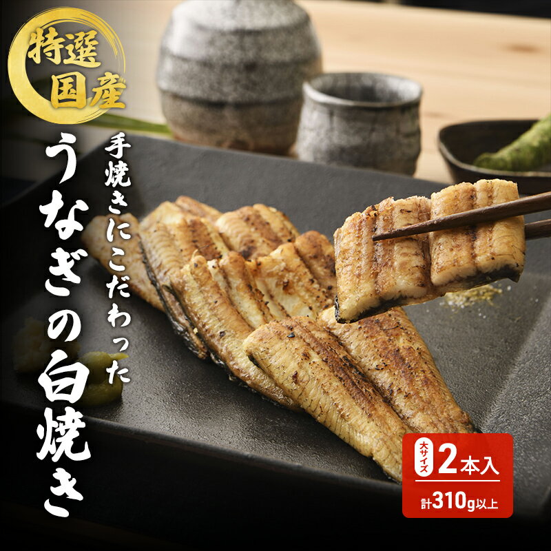 【ふるさと納税】国産手焼きうなぎ白焼き 大サイズ 2本入り 155g以上×2尾 計310g以上 静岡 浜松市