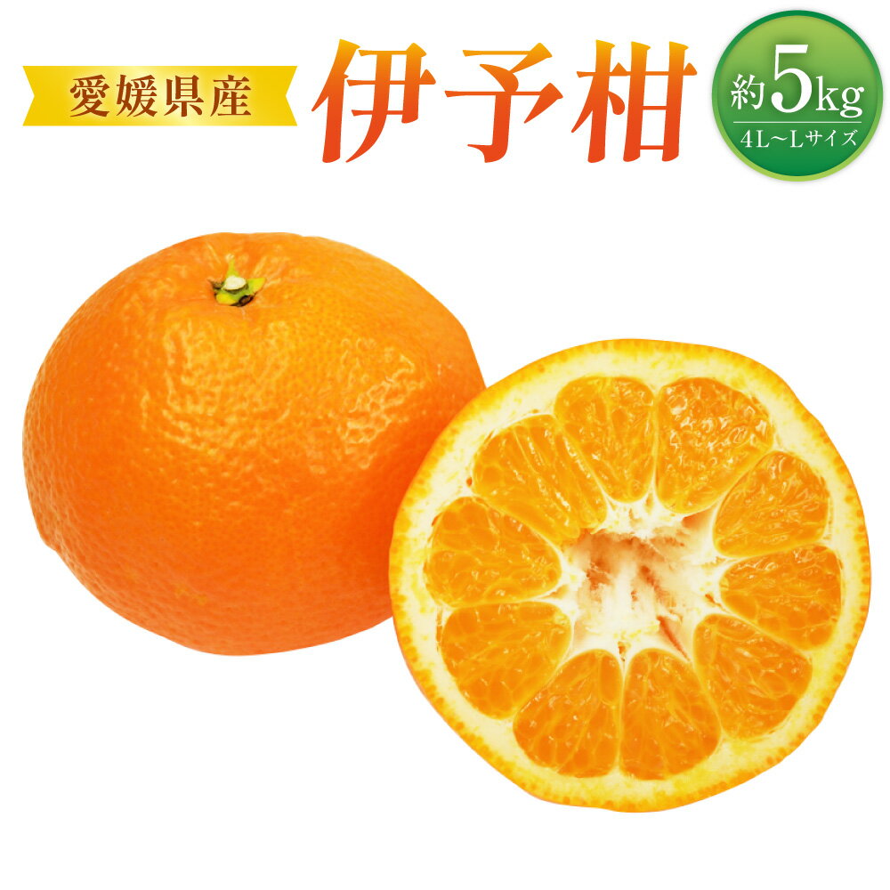 【ふるさと納税】伊予柑 4L～Lサイズ 約5kg みかん ミカン 蜜柑 柑橘 フルーツ 果物 果物 くだもの 宇和 お取り寄せ デザート おやつ 常温 送料無料【2026年1月上旬～2026年2月上旬発送予定】(520)