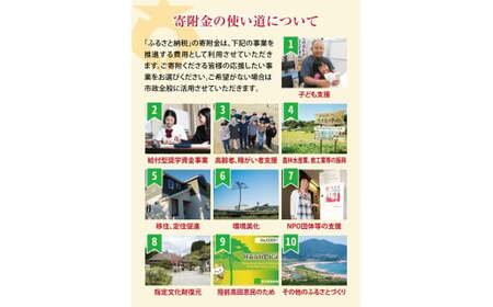 【返礼品なし】 岩手県陸前高田市への応援寄附金 1口 50,000円