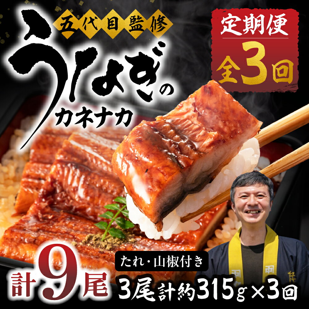 【ふるさと納税】≪定期便・全3回≫国産若うなぎ 3尾セット｜うなぎ 定期便 鰻 国産 国産うなぎ タレ付 ウナギ 蒲焼 かば焼き 丑の日 うな重 うな丼 ひつまぶし 冷凍 誕生日 お祝い 内祝い お中元 お歳暮 3回お届け 3ヶ月 3回 愛知県 豊橋市