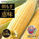 【ふるさと納税】北海道産 朝もぎ とうもろこし 恵味 L-LLサイズ 約400g×20本 スイートコーン ゴールドコーン トウモロコシ とうきび コーン 旬 完熟 野菜 甘い おやつ 産地直送 お取り寄せ 北海道 送料無料 伊達　伊達市　お届け：2024年7月中旬～9月上旬まで