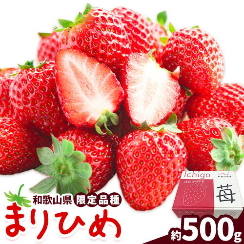 【ふるさと納税】いちご まりひめ 約500g (250g×2パック) JAわかやま 紀の里地域本部《2月中旬-4月中旬頃出荷予定(土日祝を除く)》和歌山県 岩出市 イチゴ 苺 いちご まりひめ 果物 くだもの フルーツ お試し パック