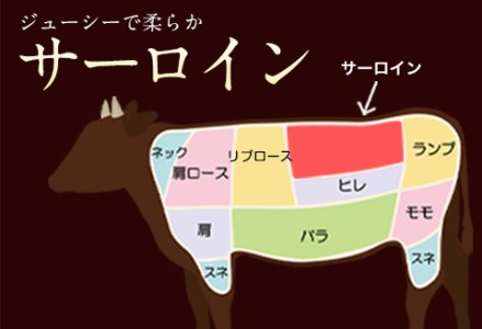 牛肉 あか牛 サーロイン ステーキ 500g ( 250g × 2枚 ) 牛肉 冷凍 《30日以内に出荷予定(土日祝除く)》 訳あり 定期便 でない 冷凍庫 個別 取分け 小分け 個包装 ステーキ肉 