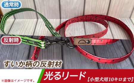 40-13 【小型犬用10キロまで】光るリード「すいか」【散歩 愛犬 夜散歩 手作り 阿見町 茨城県】