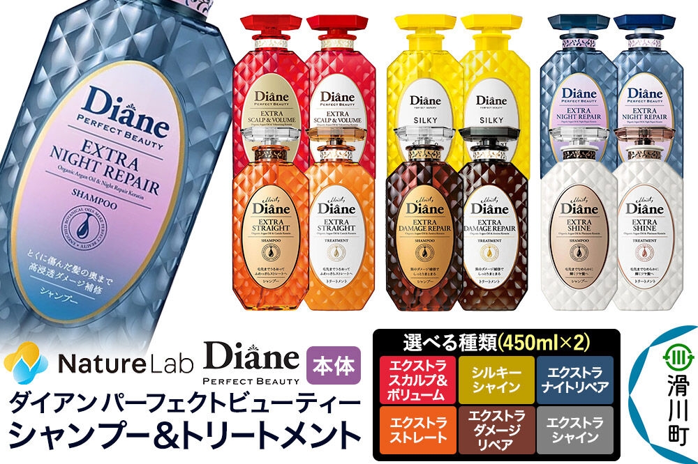 
                  Diane ダイアン パーフェクトビューティー 本体 450ml×2点セット【選べる種類】 [Diane ダイアン シャンプー トリートメント ヘアケア 女性 ノンシリコン サルフェートフリー オーガニック 頭皮ケア ふんわり ボリュームアップ] 
                
