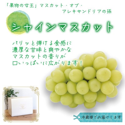 岡山　花笑み農園『訳ありシャインマスカット』1kg　WS-1【配送不可地域：離島】