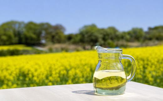 ＜愛知県産菜種100％使用＞なのはな油600g×36本 | なのはな油 菜種油 なたね油 愛知県産菜種 100％ 一番搾り 昔ながらの製法 国産 油 食用油 植物油 揚げ物 炒め物 天ぷら 料理 調味料  大容量 愛知県 豊田市