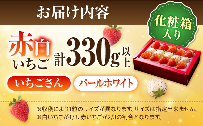 【先行予約】【農家直送】【化粧箱入り】赤白いちご「いちごさん」＆「パールホワイト」 約330g以上【かわさきいちご】イチゴ [IBG001]