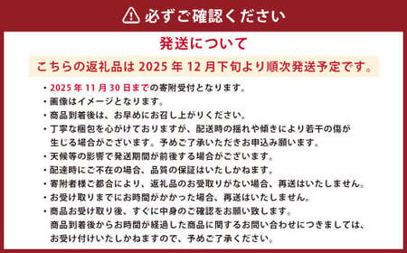 熊本県産 ポンカン 約2.2kg【2025年12月下旬発送開始】