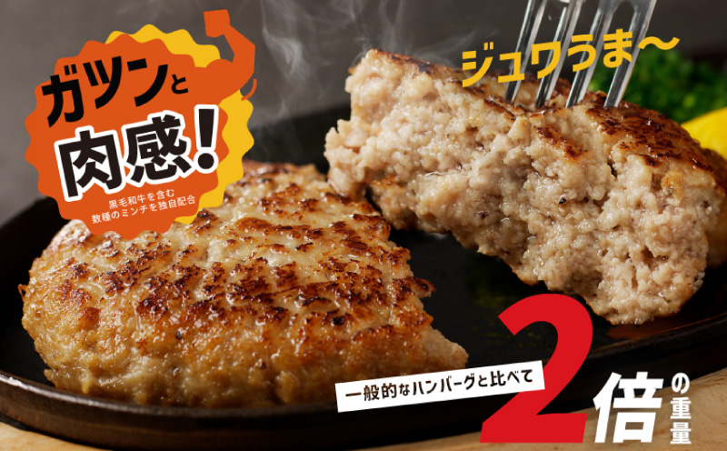 【定期便】黒毛和牛入り BIGハンバーグ（200g×12個）全6回 【毎月配送コース】