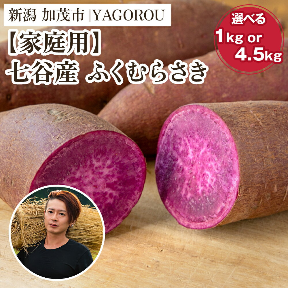 【ふるさと納税】【2025年先行予約】【家庭用】ふくむらさき （A品・B品混在） 選べる 「1kg」 or 「4.5kg」 新潟県加茂市七谷産 さつまいも《11月下旬〜順次発送》 サツマイモ お芋 焼き芋 スイートポテト 野菜 根菜 低温熟成 加茂市 YAGOROU ヤゴロウ