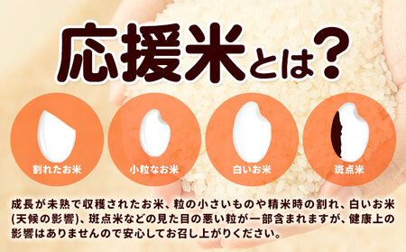 令和6年産 米 5kg  お米 白米 5キロ 紀の川応援米《30日以内に出荷予定（土日祝除く）》和歌山県 紀の川市 送料無料 国産 こめ 米 白米 精米