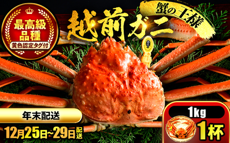 【先行予約/12月25日より順次発送】【年末希望】 越前がに 1kg×1ハイ ズワイガニ ずわいがに ボイル 冷蔵 小浜市 / まるほ商店 【配送不可地域：北海道・沖縄・離島】[BFCS045]
