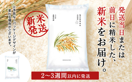 【新米予約】《10月発送》北海道産ななつぼし 10kg(5kg×2袋) 特Ａ 米 お米 10キロ 千歳 北海道 北海道米