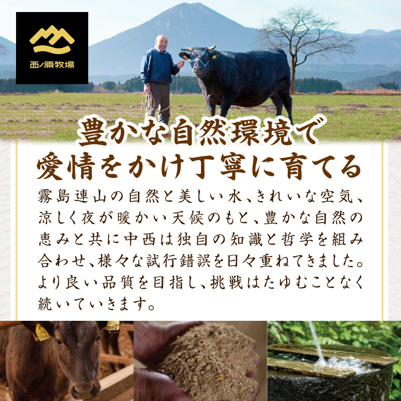 宮崎県西ノ原牧場・なかにし和牛ヒレ焼肉用 300g（ヒレ 赤身 牛肉 肉 黒毛和牛 お肉 焼肉 BBQ なかにし和牛）
