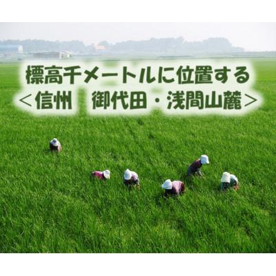 ふるさと納税 御代田町 【信州・御代田産そば粉使用】みよたそば2セット36人前(250g×12袋) |  | 03