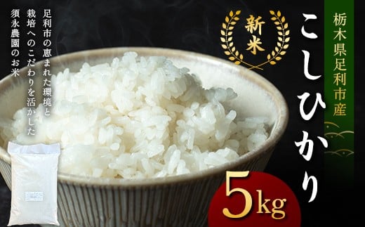 令和7年産 新米 栃木県足利市産 コシヒカリ5kg 精米 白米 米 こめ ごはん 食品 栃木県 足利市 F7Z-1813