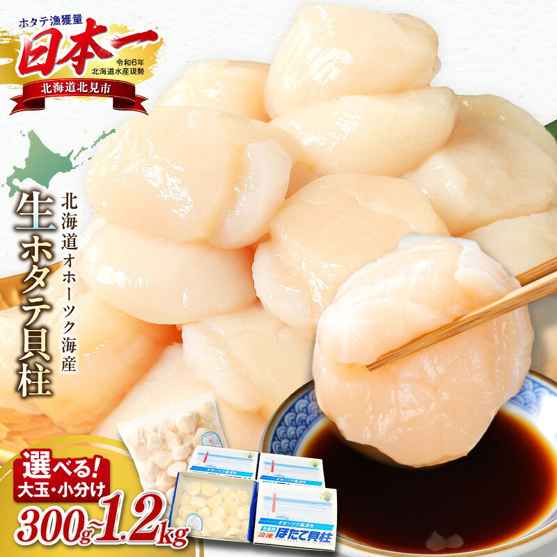 北海道オホーツク海産ホタテ貝柱 1.2kg 生食用