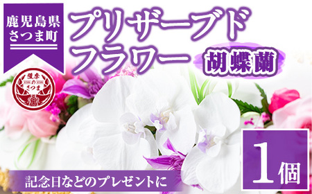 s108 ≪毎月数量限定≫プリザーブドフラワー(胡蝶蘭)鹿児島県さつま町で大切に育てられた花を使用！記念日などのプレゼントインテリアにも◎ さつま町 特産品 鹿児島 花 フラワー プレゼント ギフト インテリア 記念日 誕生日 結婚祝い 祝い お供え【南原農園】
