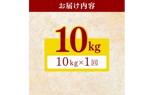 【8月～発送開始！】 令和8年産 米 こしひかり 10kg 新米 お米 白米 精米 コシヒカリ ごはん ご飯 高知県産 弁当 おにぎり 料理 高知県安芸市 特A米 ブランド米 食べ比べ 贈答用 ギフト