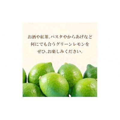 ふるさと納税 愛南町 【先行受付】【2026年10月1日〜】レモン 3kg フルーツアイランド・マルエム産 |  | 01