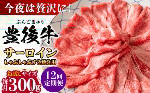 【全12回定期便】【厳選部位】おおいた豊後牛 サーロイン しゃぶしゃぶすき焼き用 300g 日田市 / 株式会社MEAT PLUS おおいた豊後牛 おおいた 豊後牛 黒毛和牛 スライス しゃぶしゃぶすき焼き しゃぶしゃぶ すき焼き 小分け サーロイン 和牛 [AREI082]
