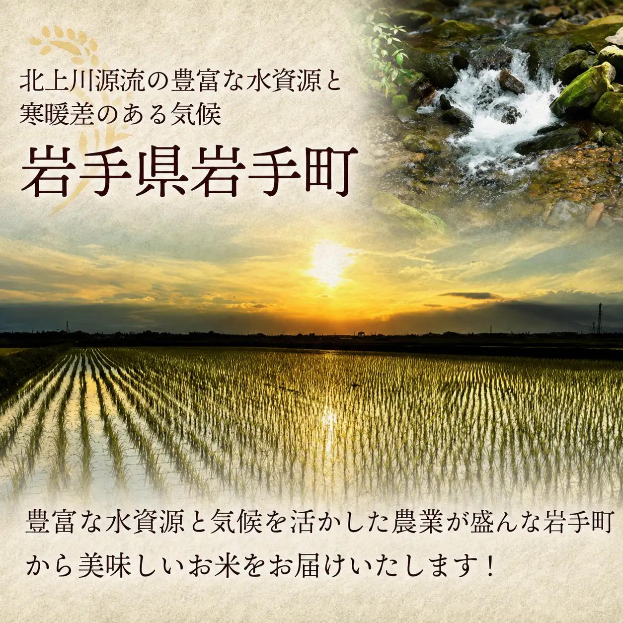 あきたこまち 5kg 令和7年度産 白米 あきたこまち