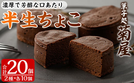 
            【令和6年お歳暮対応】濃厚で芳醇！ふんわりかるーい♪チョコレートケーキ＜半生ちょこ 20個（10個×2箱）＞1口サイズ チョコレートケーキ 冷凍 個包装 贈答 プレゼント お菓子 パティシエ 職人【SA-279H】
          