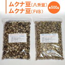 【ふるさと納税】ムクナ豆（八升豆）生豆500g 　ムクナ豆（FVB）生豆500g 〔D-48〕